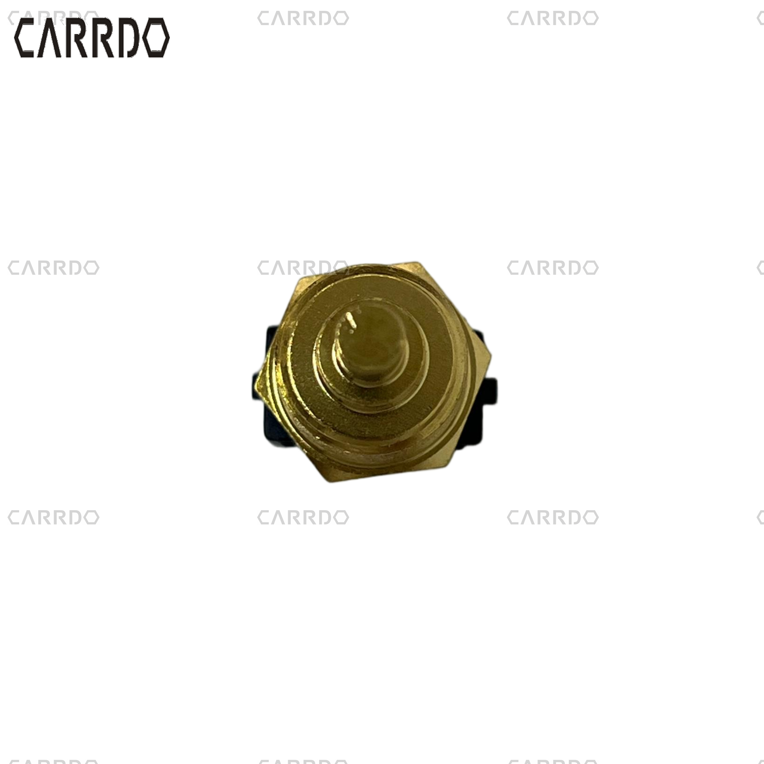 10018965-00 BYD Water Temperature Sensor